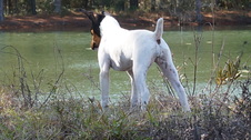 Enlarge photo 34