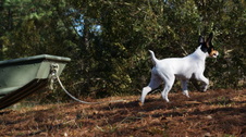 Enlarge photo 35