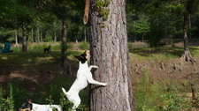 Enlarge photo 56