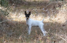 Enlarge photo 27