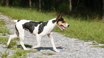 Enlarge photo 20