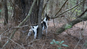 Enlarge photo 18