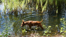 Enlarge photo 11