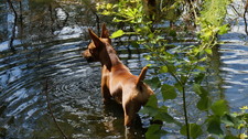 Enlarge photo 12