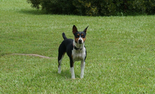 Enlarge photo 33