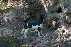 Enlarge photo 40