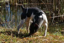 Enlarge photo 22