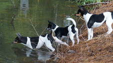 Enlarge photo 56