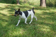 Enlarge photo 16