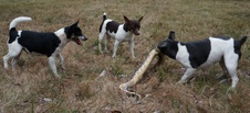 Enlarge photo 58