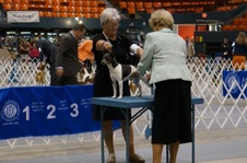 Enlarge photo 31