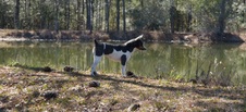 Enlarge photo 62