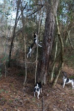 Enlarge photo 26