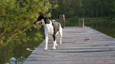 Enlarge photo 8