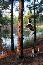 Enlarge photo 25