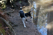 Enlarge photo 38