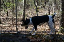 Enlarge photo 39