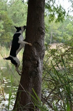 Enlarge photo 28