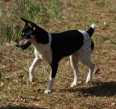Enlarge photo 22