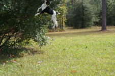 Enlarge photo 29