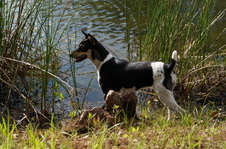 Enlarge photo 24