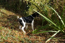 Enlarge photo 57