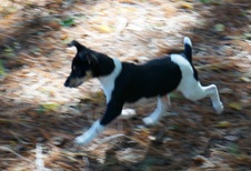 Enlarge photo 51