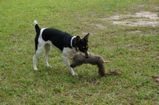 Enlarge photo 46