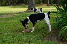 Enlarge photo 47