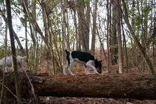 Enlarge photo 55