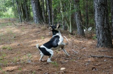 Enlarge photo 49