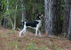 Enlarge photo 48
