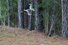 Enlarge photo 50