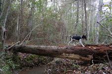 Enlarge photo 56