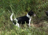 Enlarge photo 30
