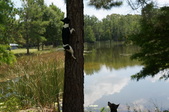 Enlarge photo 45