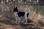 Enlarge photo 27