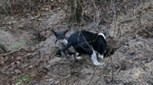 Enlarge photo 72