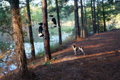 Enlarge photo 48