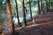 Enlarge photo 50