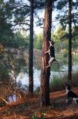 Enlarge photo 49
