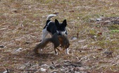 Enlarge photo 21