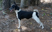 Enlarge photo 11