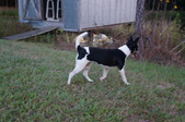 Enlarge photo 14