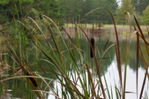Enlarge photo 57