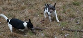 Enlarge photo 56