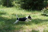 Enlarge photo 41