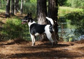 Enlarge photo 47