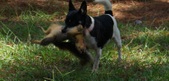 Enlarge photo 69