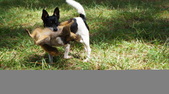 Enlarge photo 70
